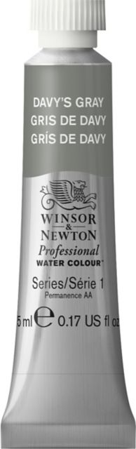 Professional Watercolor 5mL Davy Gray