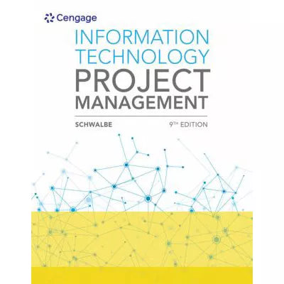 Information Technology Project Management