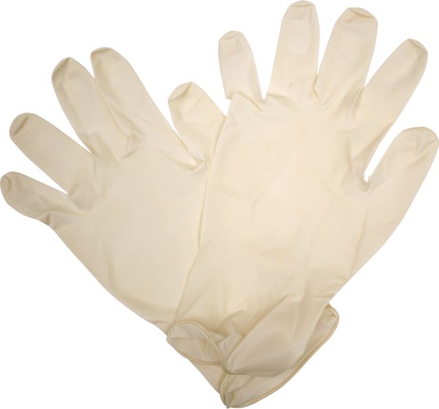 Safety Product-Latex Gloves 10/Pack